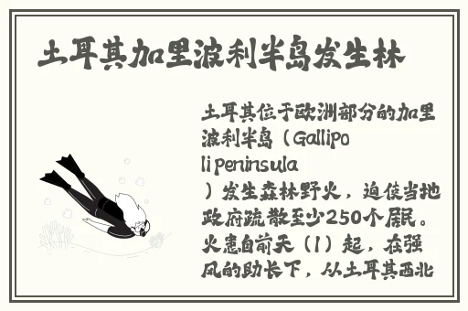 满18点此转入2O2